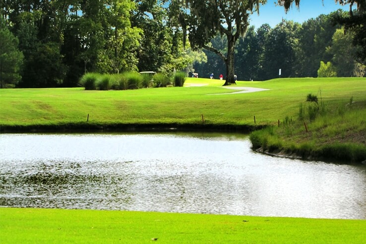 Explore a world of golfing variety near Port Wentworth, catering to all skills levels.