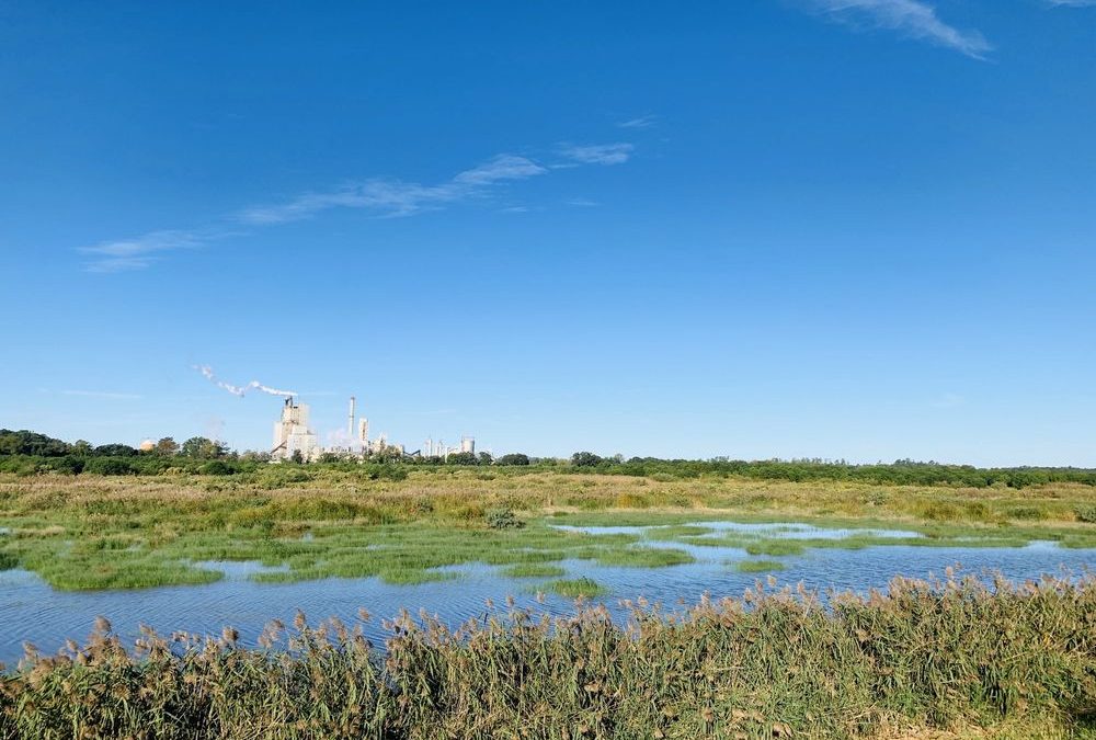 Where Nature Meets Adventure: Discovering Savannah National Wildlife Refuge